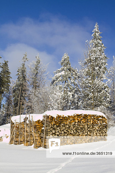Brennholz in Stapel aufgeschichtet  Waldviertel  Niederösterreich  Österreich  Europa