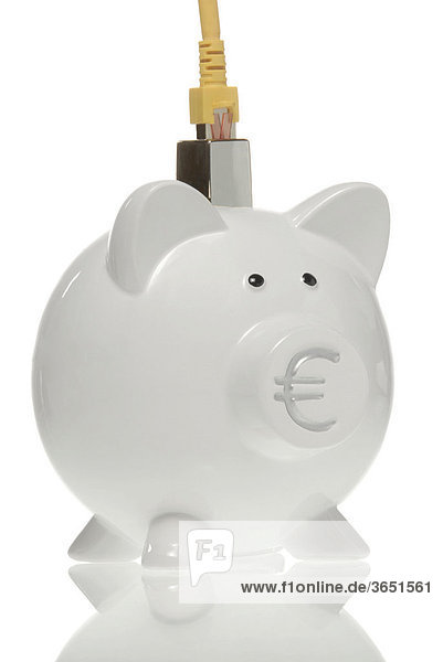 Sparschwein mit Eurozeichen auf der Nase und LAN-Kabel  Symbolbild für Online-Banking