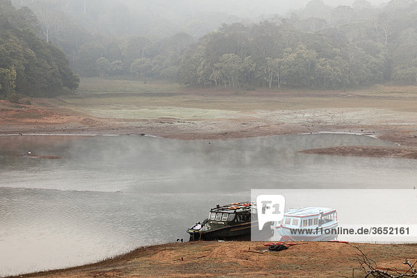 Boot-Anleger am Thekkady See  Morgennebel  Periyar Nationalpark  Kerala  Südindien  Indien  Südasien  Asien