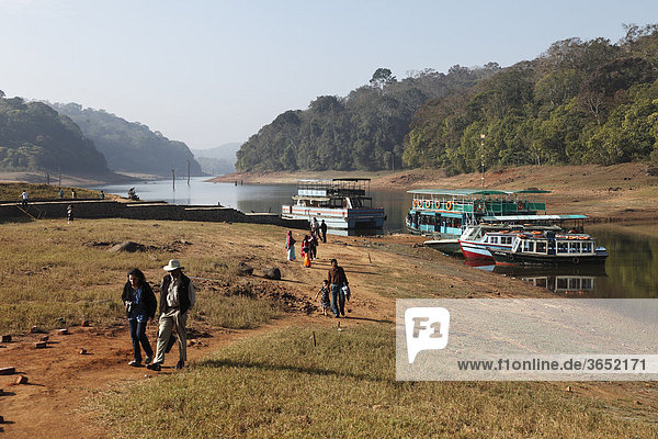 Boat landing place at Thekkady Lake  Periyar National Park  Kerala  India  South Asia  Asia