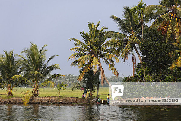 Ufer von Kodoor River  Frauen waschen Wäsche  Backwaters bei Alleppey  Alappuzha  Kerala  Südindien  Indien  Südasien  Asien