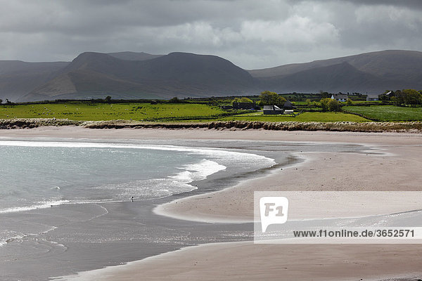 Brandon Bay  Dingle Halbinsel  County Kerry  Irland  Britische Inseln  Europa