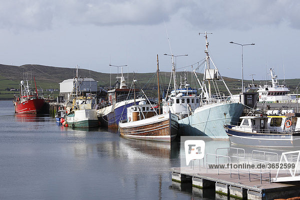 Fischerhafen  Dingle  County Kerry  Irland  Britische Inseln  Europa