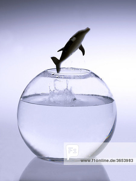 Delfin springt aus dem Wasserglas