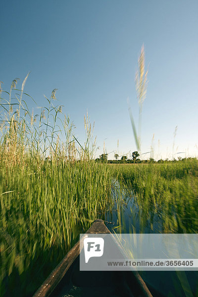 Mokoro  Okavango-Delta  Botsuana  Afrika