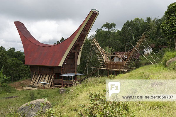 Bau von traditionellen Toraja-Häusern bei Batutumonga  in der Nähe von Rantepao  Sulawesi  Indonesien  Südostasien