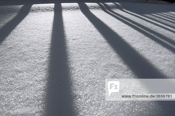 Winterimpression  Zaun wirft Schatten auf Schnee