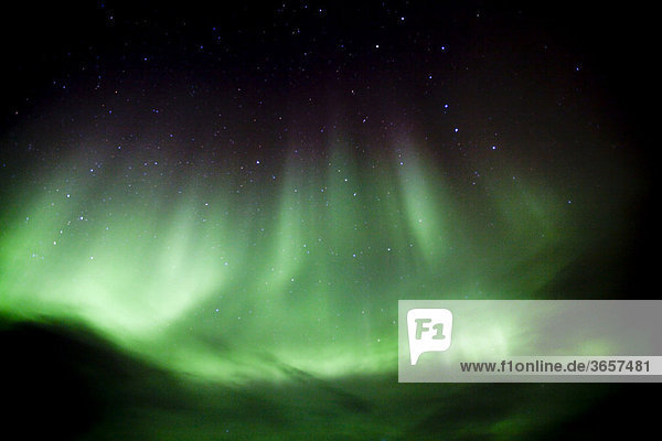 Polarlichter  Nordlichter  Aurora borealis  grün  violett  bei Whiterhorse  Yukon Territorium  Kanada