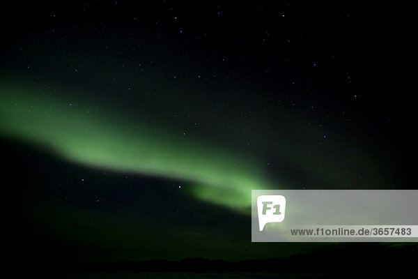 Wirbelnde Polarlichter  Nordlichter  Aurora borealis  grün  bei Whitehorse  Yukon Territorium  Kanada