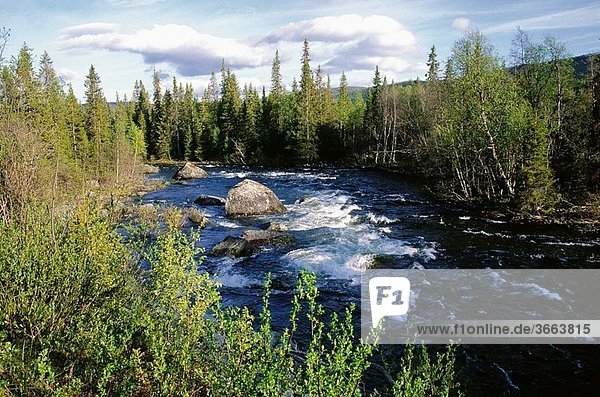Sweden  Lapland  Ammarnas region  River