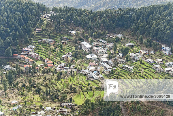 Terrassen Anbau Häuser  Triund  Dharamsala  Indien  Asien