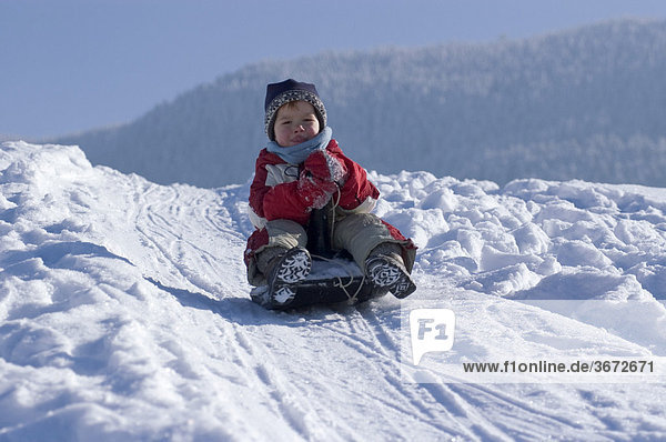 Child in the winter sleigh sledging on a sledge