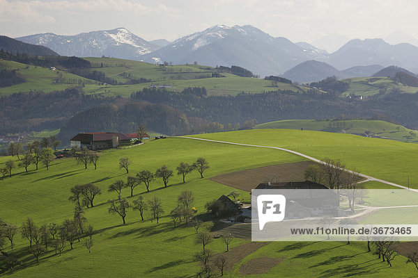 Bauernhöfe und saftige Wiesen im Hintergrund schneebedeckte Berge der Alpen Mostviertel Alpenvorlandstraße Niederösterreich