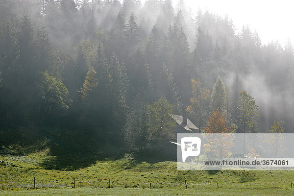 Haus und Scheune Nebelstimmung am Morgen im Brücklergraben bei Turnau Steiermark Österreich