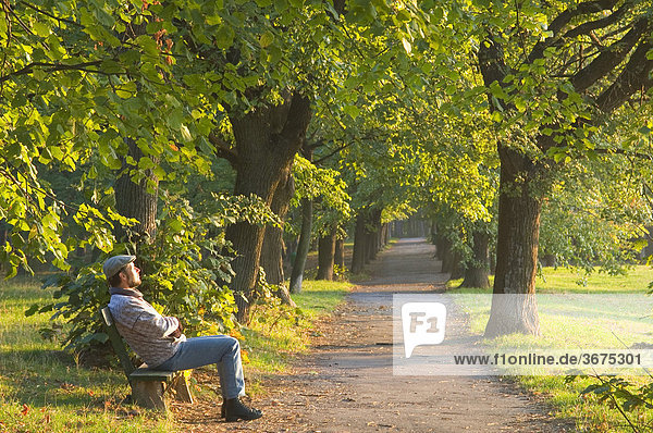 Mann auf Parkbank genießt die Morgensonne auf einer Parkbank in Perchtoldsdorf Niederösterreich Österreich