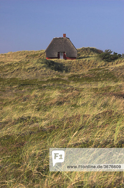 Einsam gelegenes  altes Sommerhaus in den Dünen am Limfjord in Dänemark