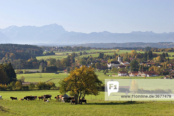 Deining and Alps - Upper Bavaria - Germany