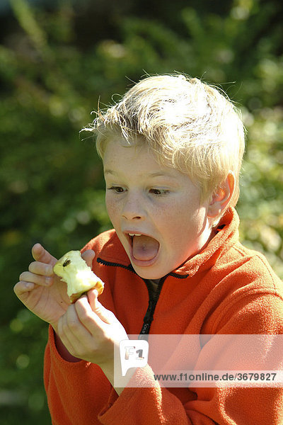 Kind will in apfel mit wespe beißen