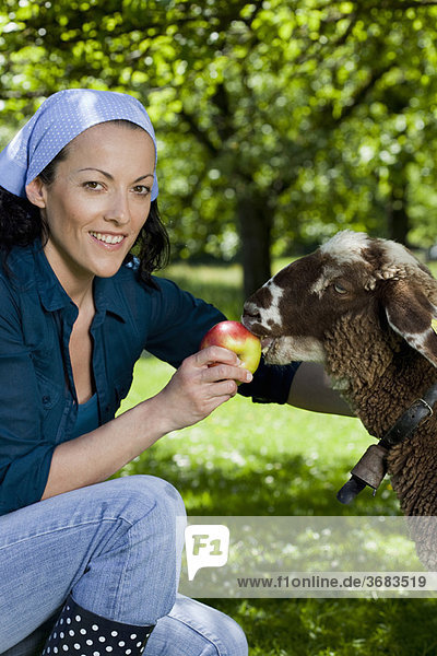 Frau füttert Schafe  glücklich