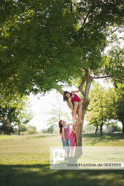 3 young girls playing under tree