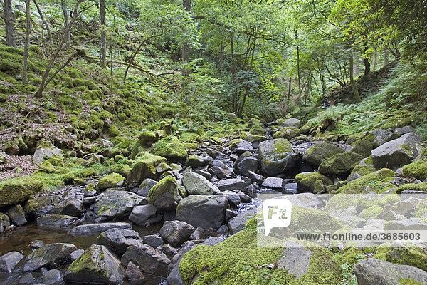 Dalegarth for Booth  GBR  20. Aug. 2005 - Little runnel in Eskdale area in the Lake District.