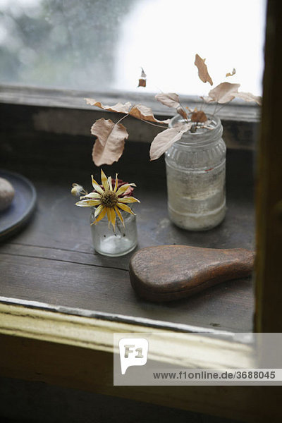Detail einer getrockneten Blume und Blätter in Gläsern auf einer Fensterbank