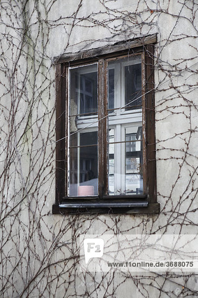 Detail eines Fensters in einem Gebäude