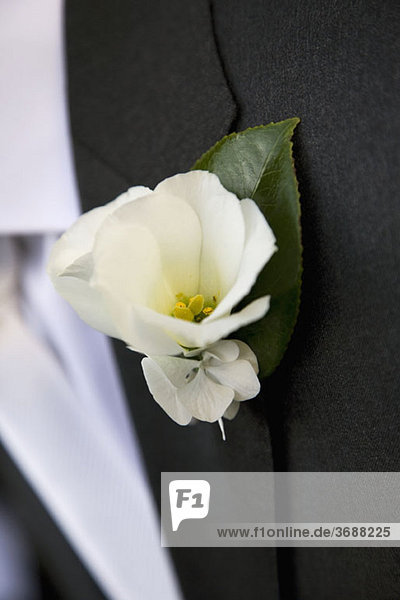 Detail einer weißen Blume boutonniere auf einem Jackenaufschlag