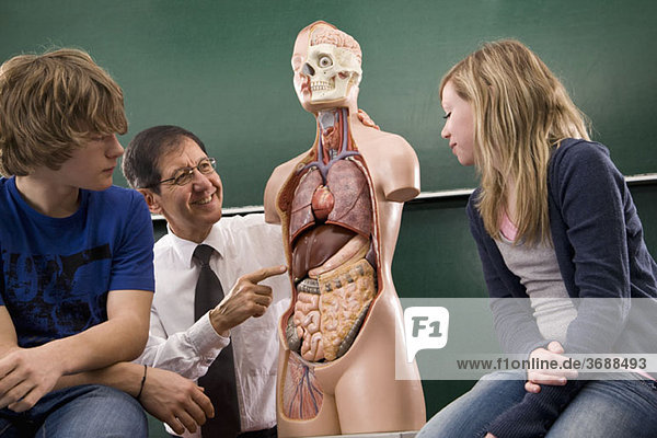 Ein Biologielehrer  der den Schülern Anatomie beibringt.