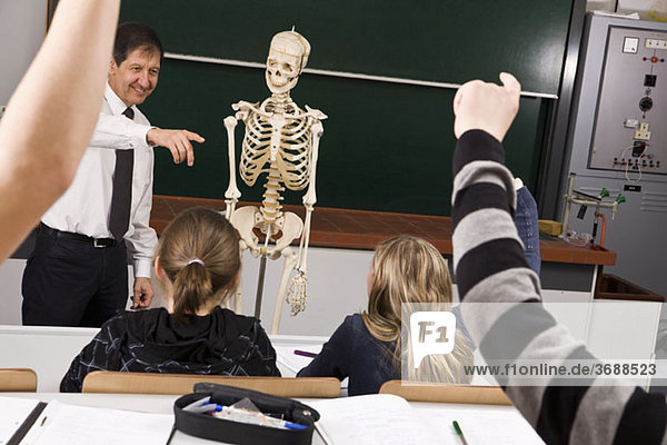 Ein Lehrer zeigt  während seine Schüler in einer Biologieklasse die Hand heben.