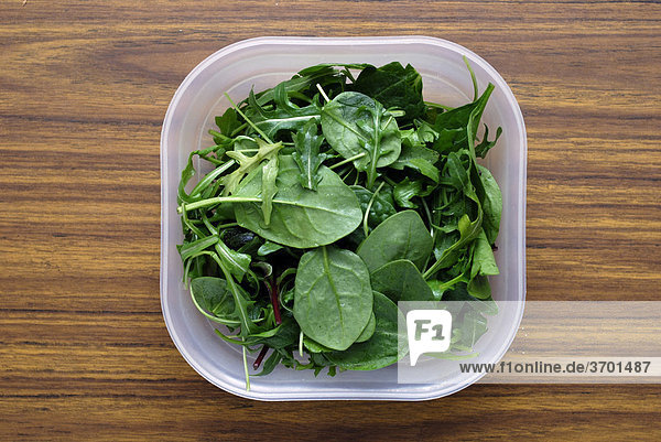 Salatblätter in einer Kunststoff-Schüssel