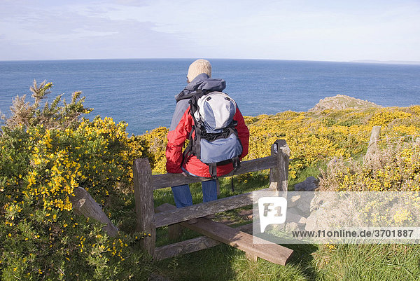 Wanderin sitzt auf Zaunübertritt und schaut aufs Meer hinaus  Küste  Pembrokeshire Nationalpark  Wales  Großbritannien  Europa
