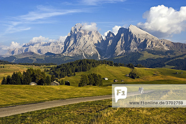 View over the Seiser Alm mountain pasture  towards the Sassolungo and Sassopiatto mountains  in the back the Sella group  Dolomites  South Tyrol  Italy  Europe