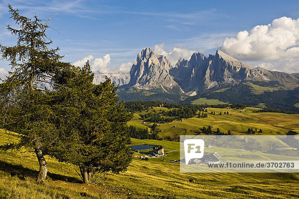 Blick über die Seiser Alm auf Langkofel und Plattkofel  Dolomiten  Südtirol  Italien  Europa