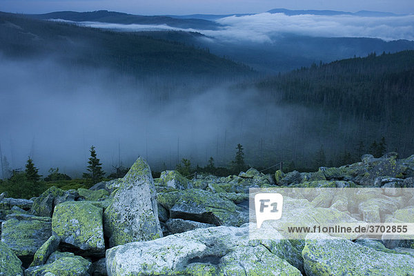 Cloudy atmosphere on Mt Lusengipfel  Bavarian Forest National Park  Bavaria  Germany  Europe