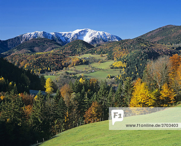 Schneeberg  2075m  im Herbst  Piestingtal  Niederösterreich  Österreich  Europa