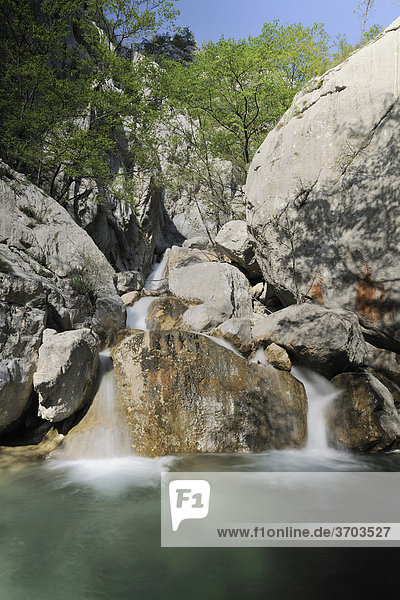Kleiner Wasserfall in der Velika Paklenica im Nationalpark Paklenica  Kroatien  Europa