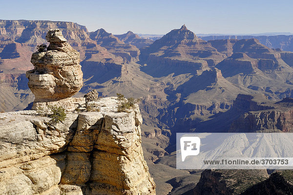 Blick vom South Rim in Richtung Vishnu Temple und North Rim  Grand Canyon National Park  Arizona  USA