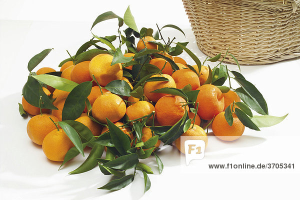 Mandarines with leaves