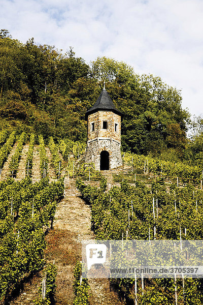 Wachturm im Weinberg am Südhang des Drachenfels im Herbst zwischen Königswinter und Bad Honnef-Rhöndorf  Nordrhein-Westfalen  Deutschland  Europa