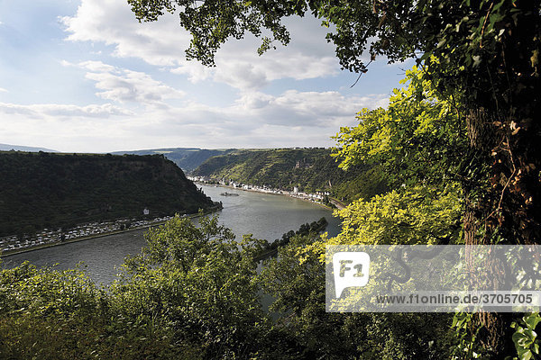 Blick vom Loreley-Felsen und das Mittelrheintal bei St. Goarshausen mit Burg Katz  Rheinland-Pfalz  Deutschland  Europa