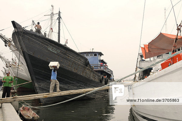 Fracht-Segelschiffhafen Sunda Kelapa in Jakarta  Java  Indonesien  Südostasien  Asien