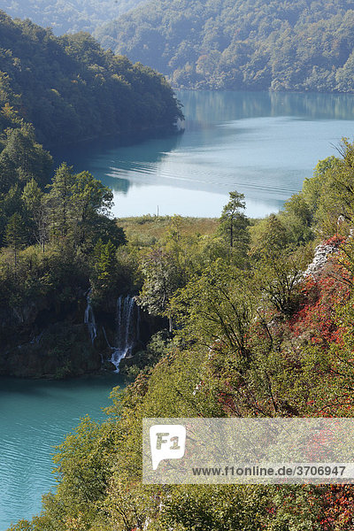 Nationalpark Plitwitzer Seen  Plitvicer Seen  Milanovac-See und Kozjak-See  Plitvicka Jezera  Kroatien  Europa