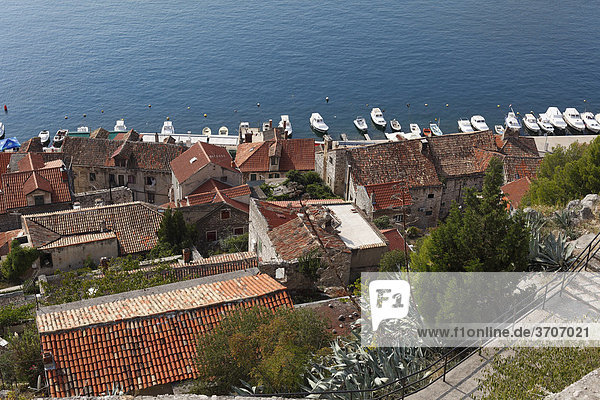 Blick von Festung über Altstadt  Sibenik  Dalmatien  Adria  Kroatien  Europa