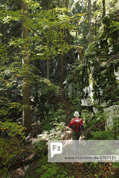 Frau mit Rucksack auf Waldweg  Nationalpark Risnjak  Gorski Kotar  Kroatien  Europa