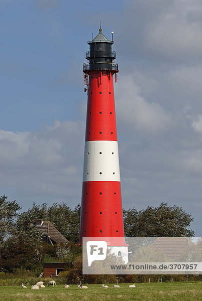 Pellworm Lighthouse  North Frisian Islands  North Friesland district  Schleswig-Holstein  Germany  Europe