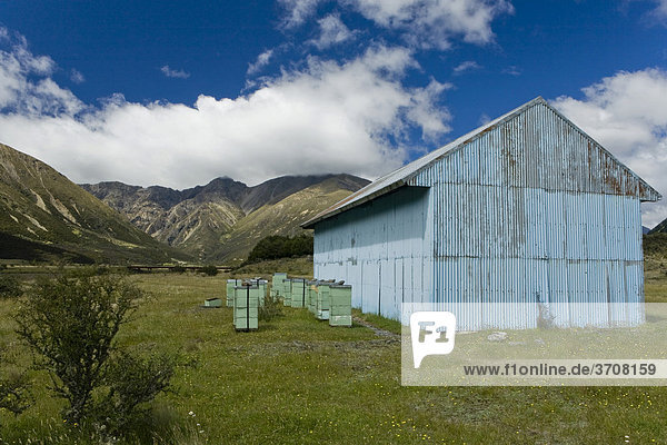 Blaue Wellblechhütte mit Bienenstöcken auf einer Wiese  Rainbow Track  Südinsel  Neuseeland