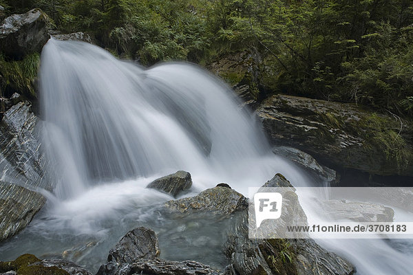 Atemberaubender Wasserfall in dem Gebirgsbach Invincible Creek  Rees Valley  Südinsel  Neuseeland