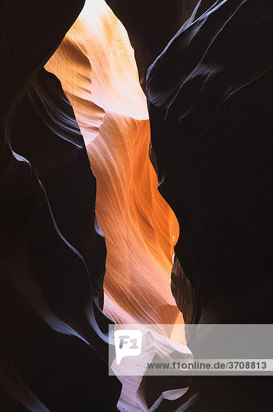 Upper Antelope Canyon  Page  Arizona  USA