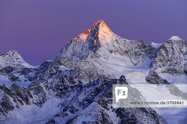 Ober Gabelhorn im Morgenrot  Zermatt  Wallis  Schweiz  Europa